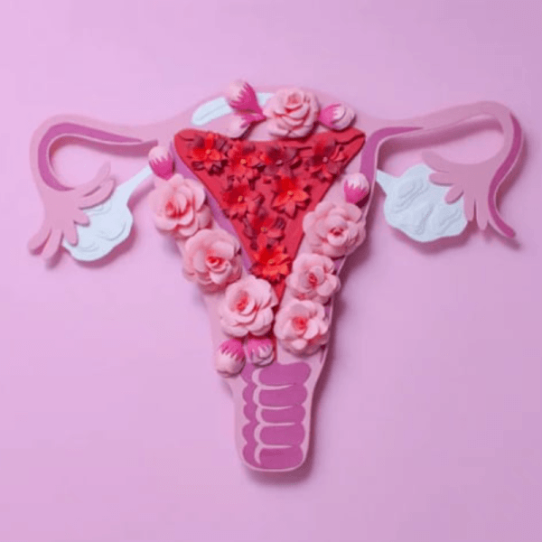 ENDOMETRIOSIS-1-600x600 (1)